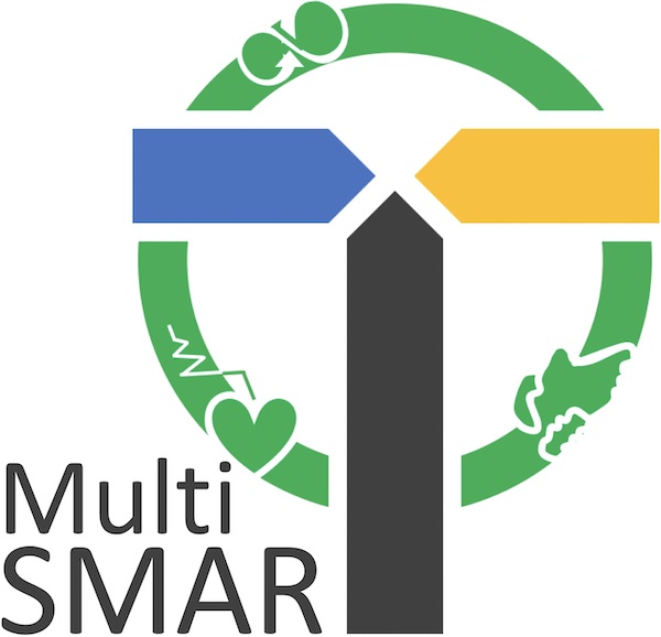 Multismart Logo