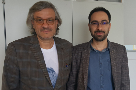 Mehdi Ansari-Rad and Juan Bisquert
