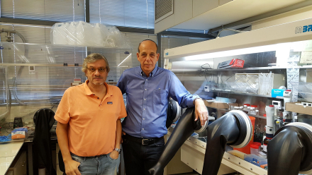 Prof. Bisquert y Prof. Zaban