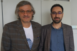 Mehdi Ansari-Rad and Juan Bisquert