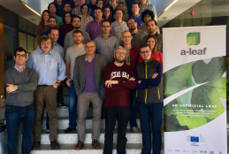 Investigadores del proyecto ALEAF 