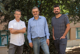 Víctor Flors, Juan Bisquert e Iván Mora-Seró Víctor Flors, Juan Bisquert e Iván Mora-Seró